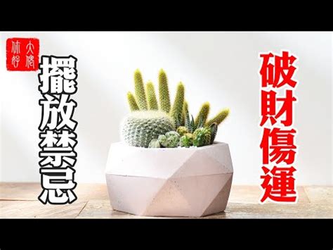 仙人掌放廁所